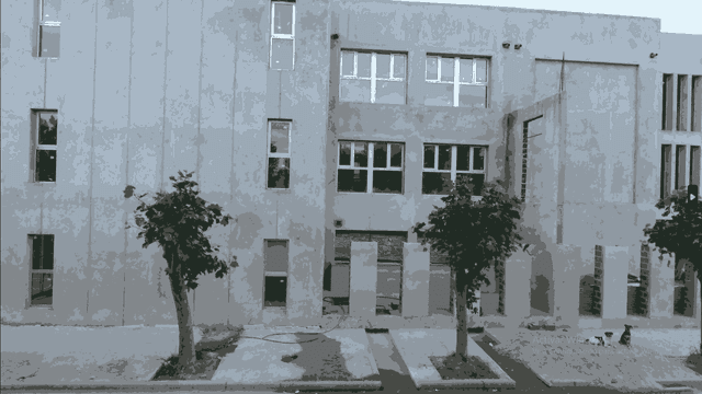 Frente anterior